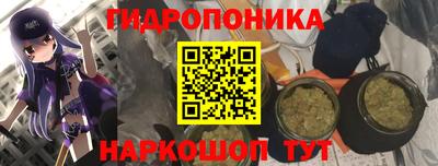 МДМА Гатчина